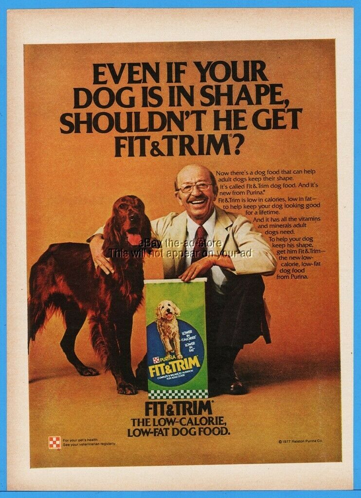 1977 Purina Fit & Trim Dog Food Gorgeous Irish Setter Photo Print Ad