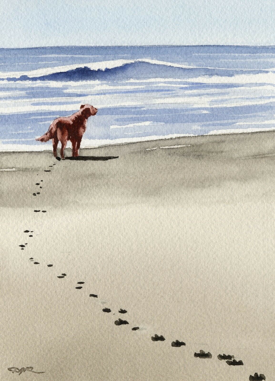 Irish Setter Beach Painting Dog 8 X 10 Art Print By Artist Djr